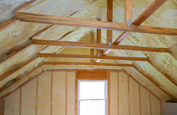 Best Insulation Maintenance and Repair in Hilton Head Island, SC