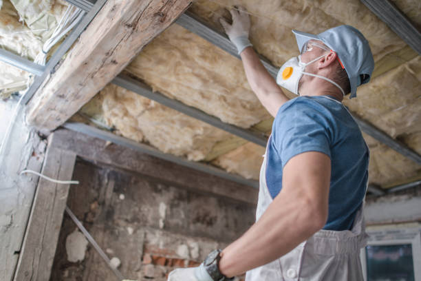 Best Specialized Insulation Services in Hilton Head Island, SC