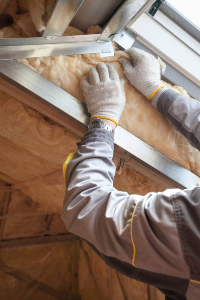 Best Blown-in Insulation in Hilton Head Island, SC