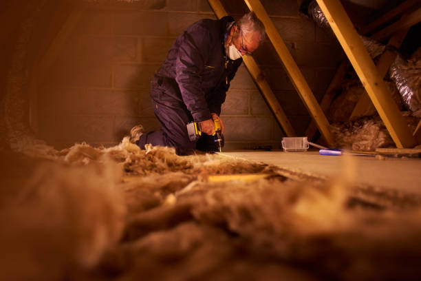 Best Energy Efficiency Insulation in Hilton Head Island, SC