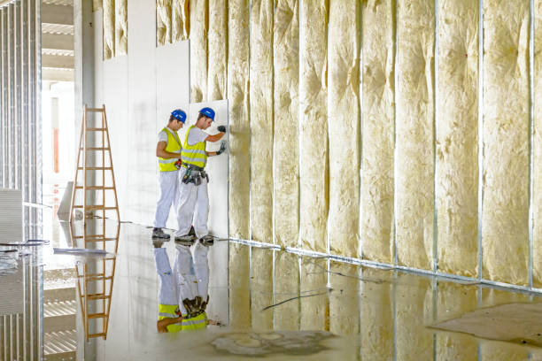 Types of Insulation We Offer in Hilton Head Island, SC
